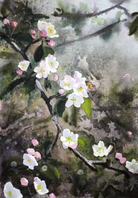 ����� �������� ������ (������). ������ �����