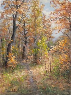 � ������� ����. ����� ���������