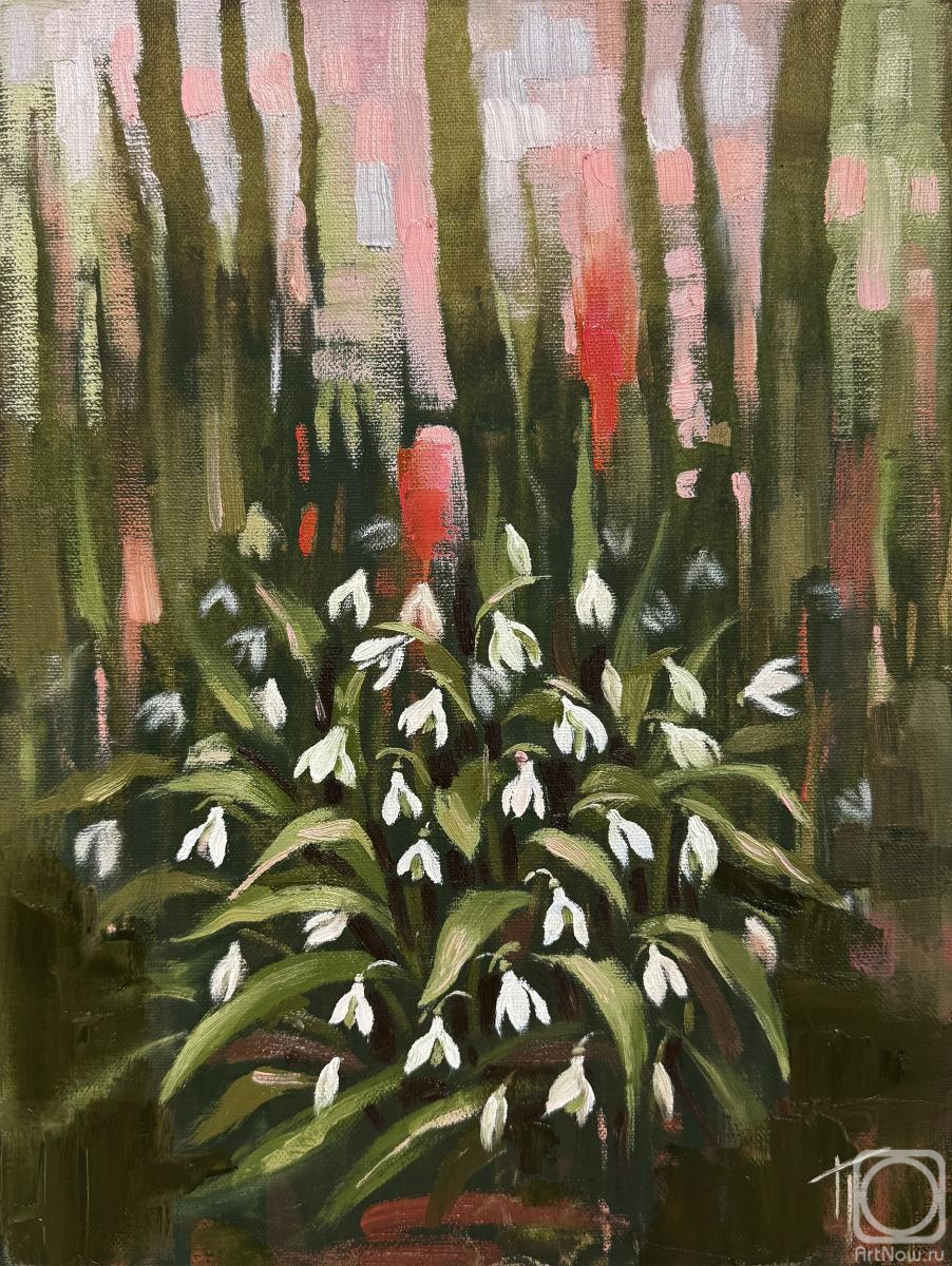 ������� ������ �� ������. ��������� �������. �����������