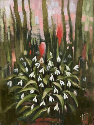 ������� ������������