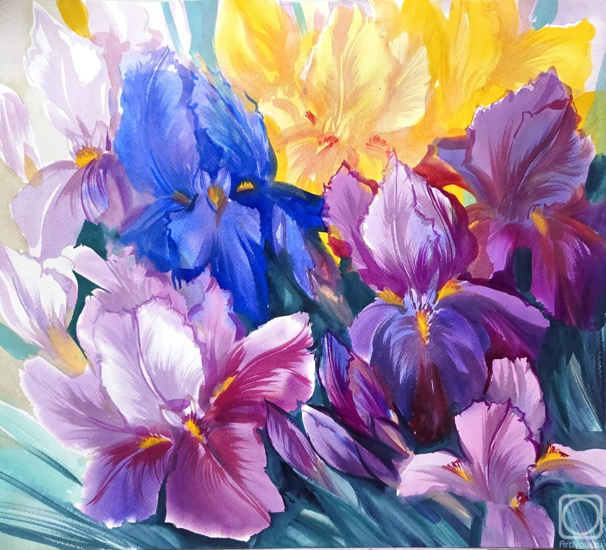 �������. ���������� ���������. ������� ����