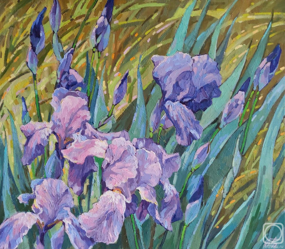 ������� ������ �� ������. ������ ��������. ������� ����