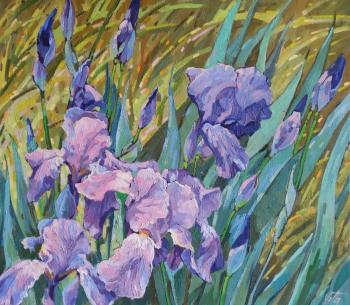 ������� �������� ����