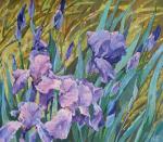 ������ ��������. ������� ����