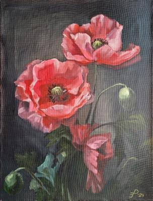 Poppies in the Twilight Garden