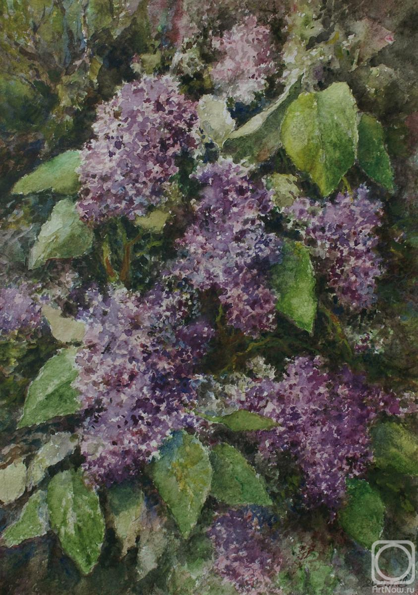 �������. �������� ������. �������� ����