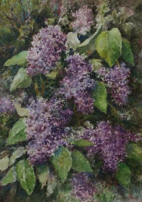 ������� ��������� ����