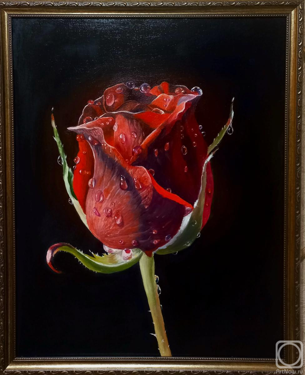 Barilko Irina. Untitled