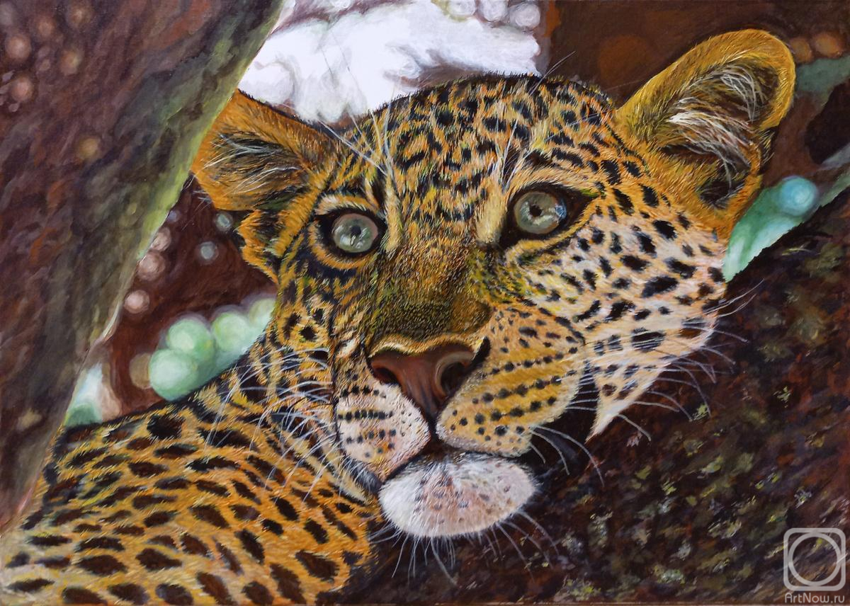 Barilko Irina. Untitled