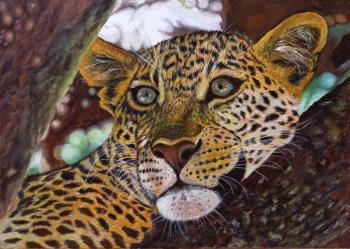 ������� (������� ��������). ������� �����