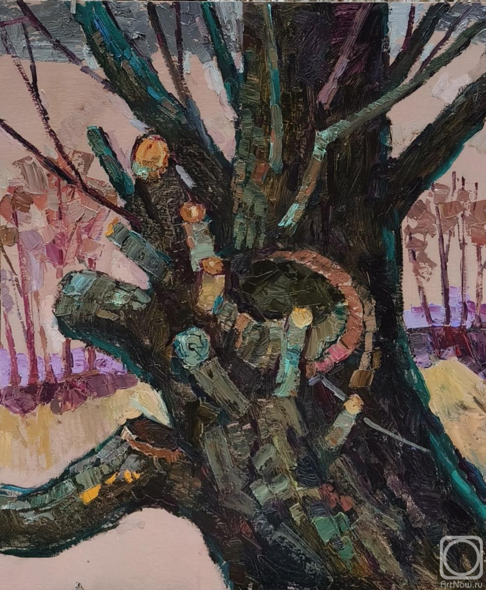 �������. ������� ���������. �������