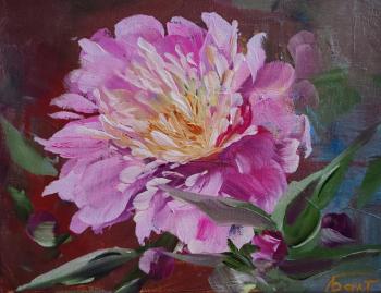 �������. ����������� �����