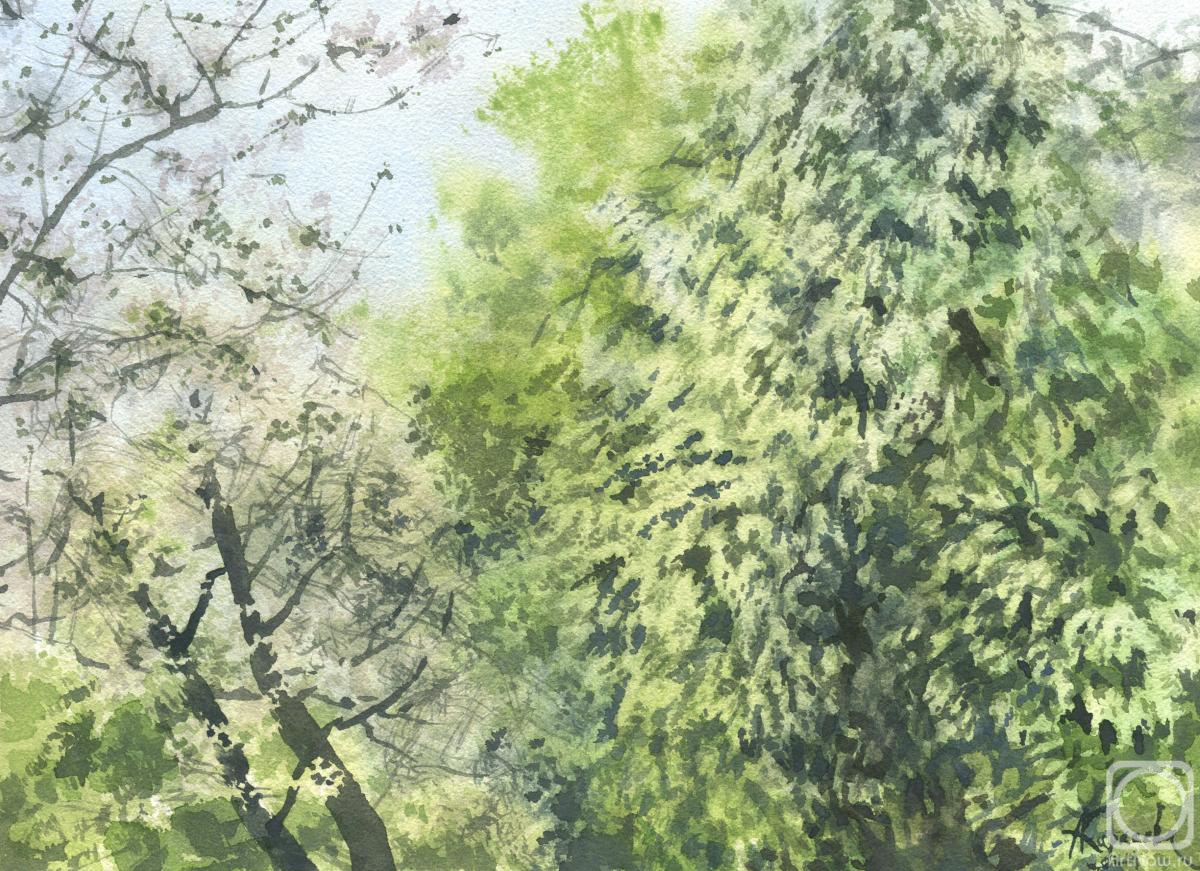 Karaseva Anastasiya. Untitled