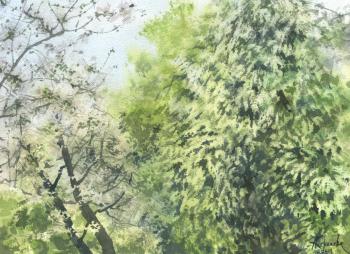 �������� � �����. �������� ���������