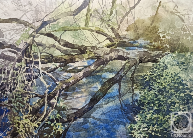 Karaseva Anastasiya. Untitled