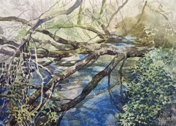 �������� ����. �������� ���������