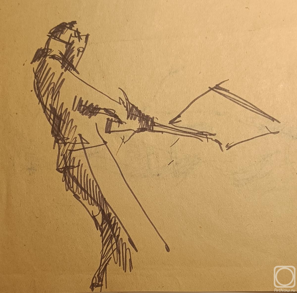 �������. ������� ���������. �������� ��������.���� � �����