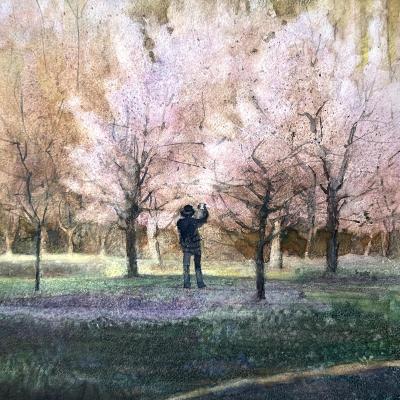 ������������ ����� (�������� �������). ��������� ��������