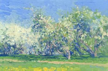 ��������� ����. �����������. ����� ����