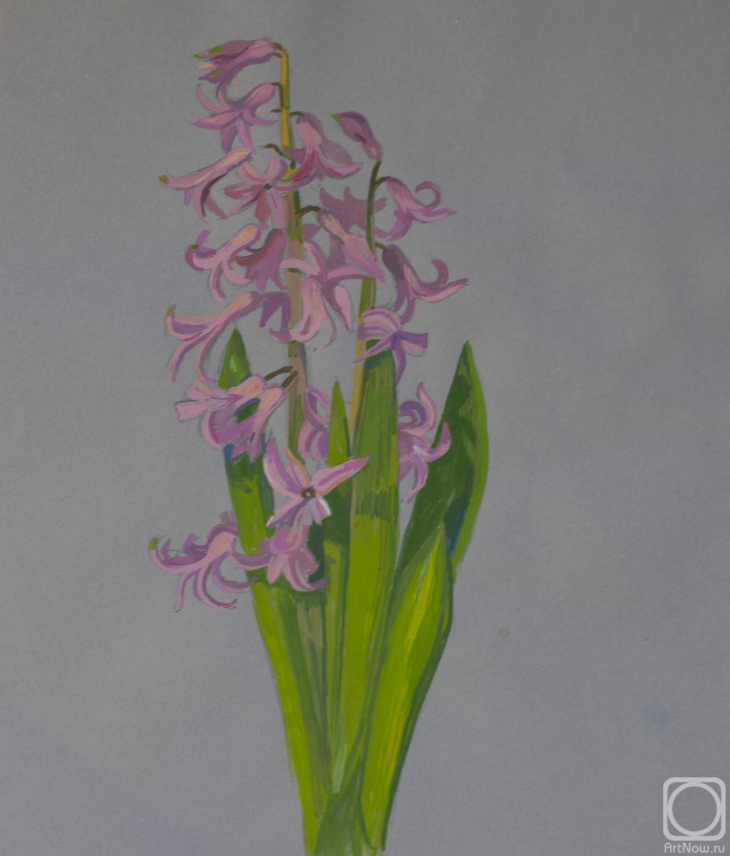 Paladina Liya. Hyacinth