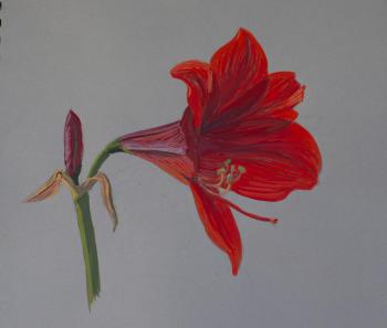 ���������. �������� ���