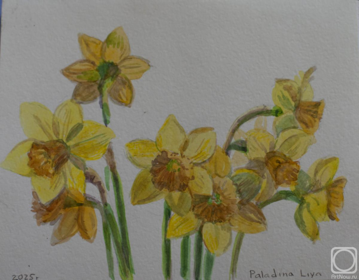 Paladina Liya. Daffodils