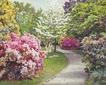 � ����� (����������� �����). �������� �����