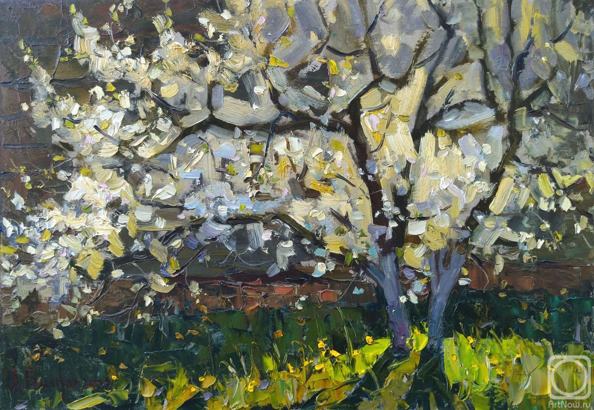 �������. ������ ������. ����� � �����