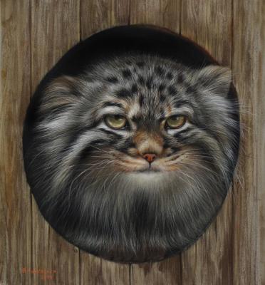 �����. ��������� �����