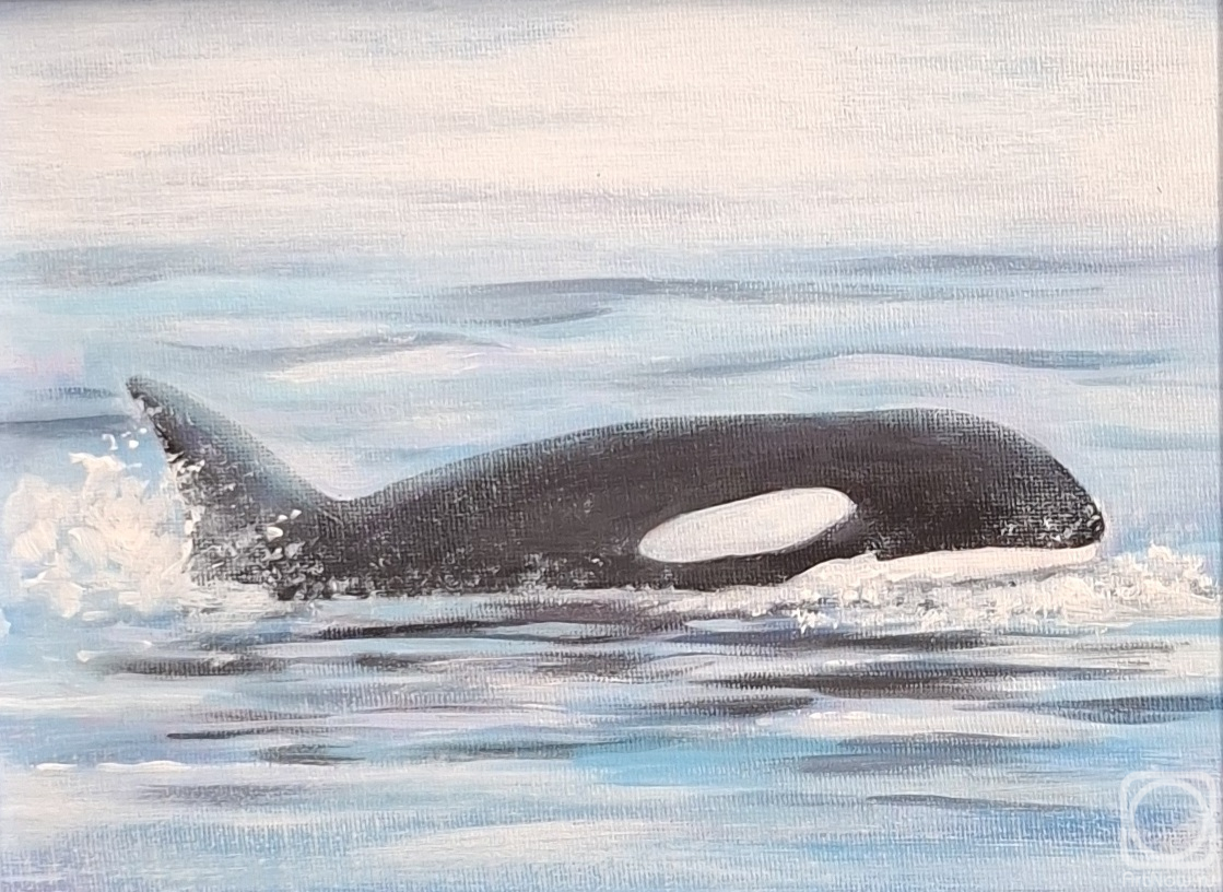 �������. ������ ����. �������