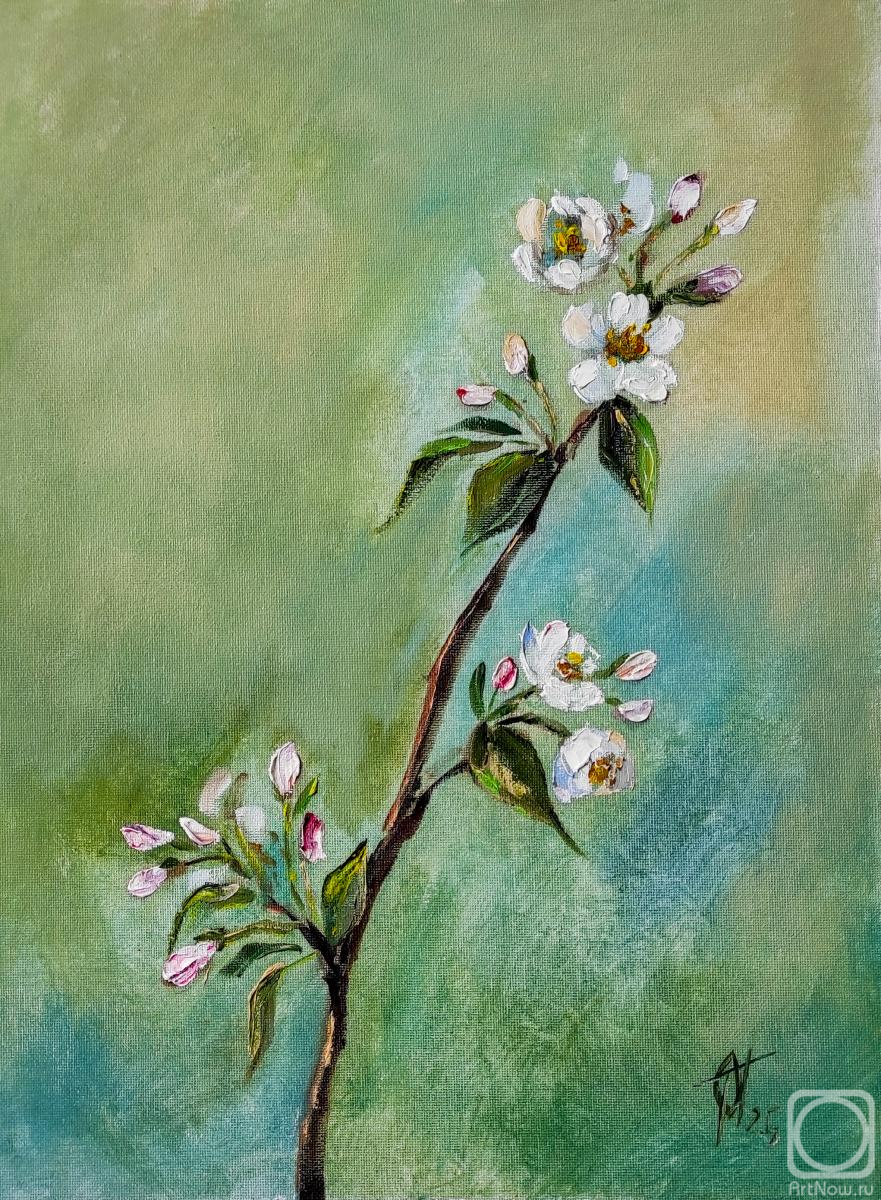 ������� ������ �� ������. ����������� �����. �������� ����� ������