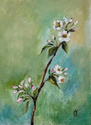 �������� ����� ������. ����������� �����