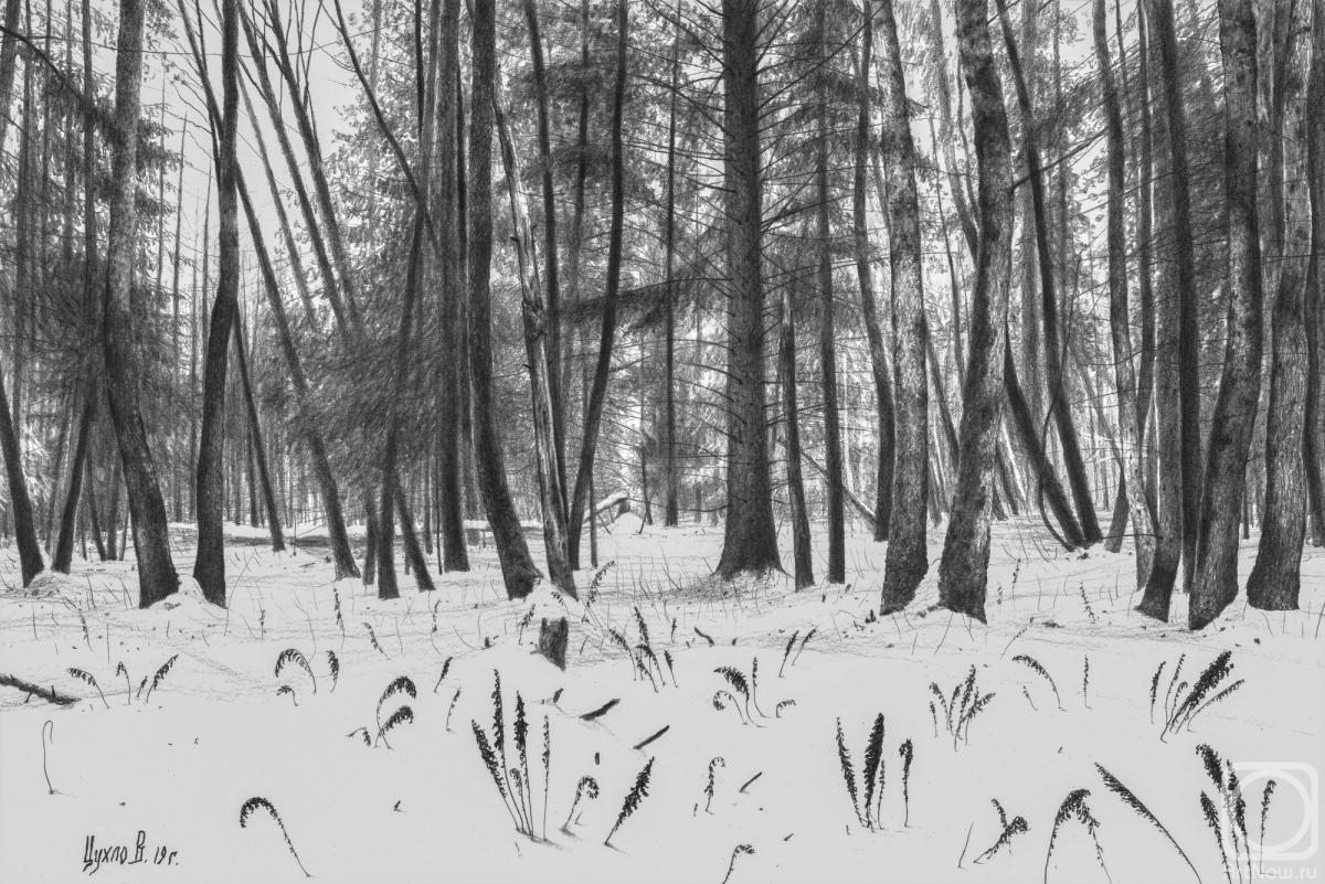 �������. ����� ��������. ����������� �� �����