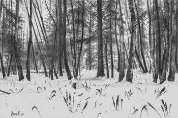 ������� ������������ �� �����