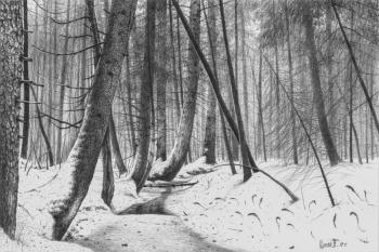 ������� ���. ����� ��������