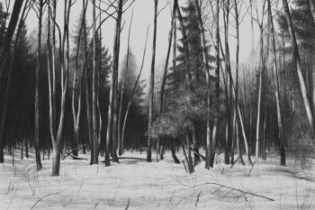 ������� ������� ����