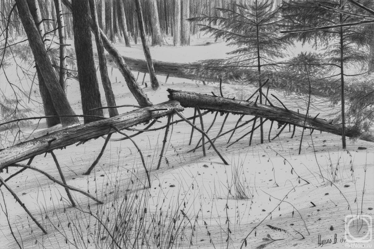 �������. ����� ��������. ���� �����