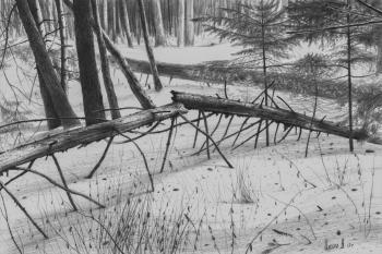 Cycle of life. Tsuhlo Vladimir