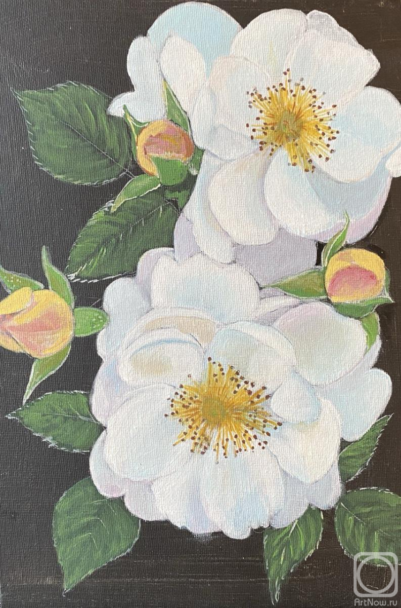 Shuvalova Nataliya. White Wild Rose