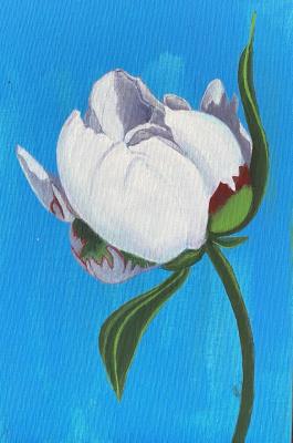 Azure Tenderness. Shuvalova Nataliya