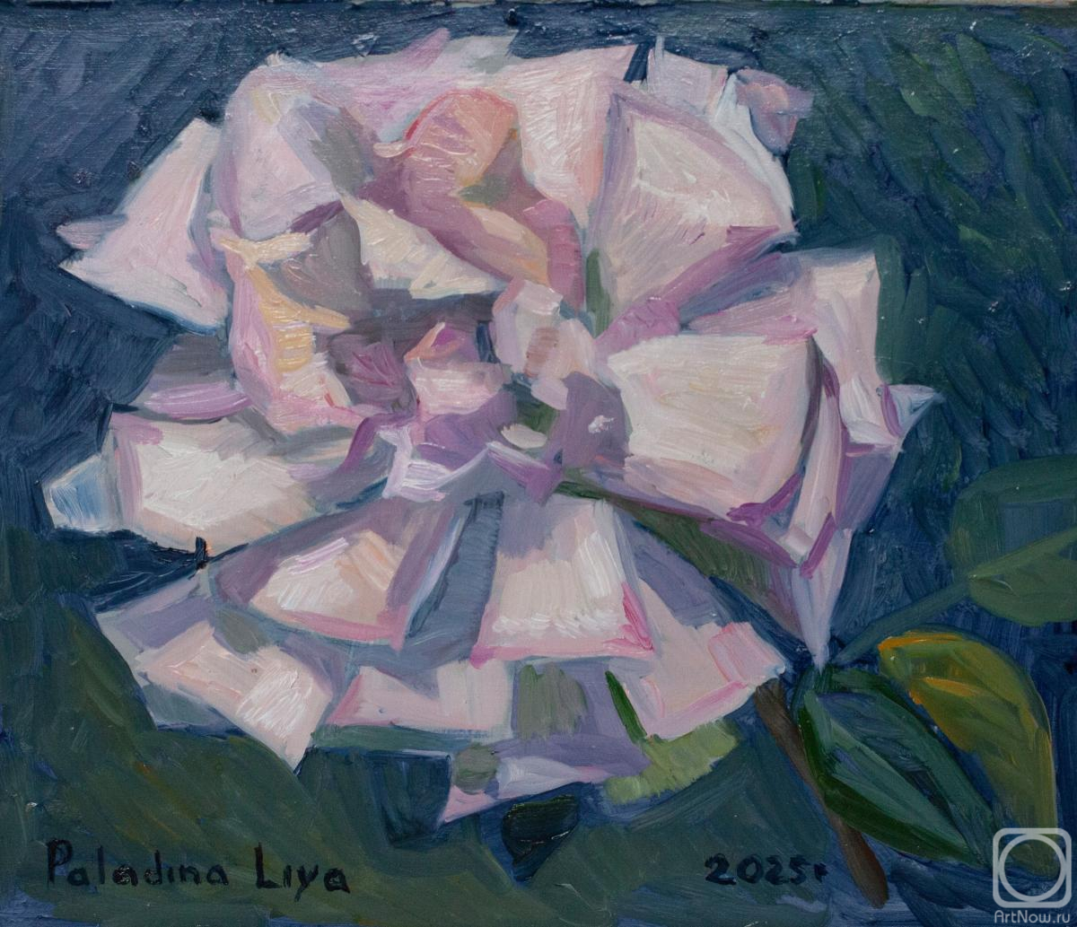 �������. �������� ���. ����������� ����