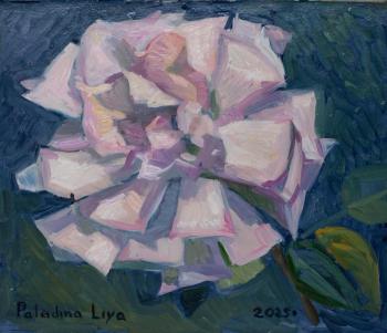 ������� ������������ ����