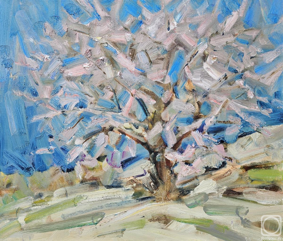 ������� ������ �� ������. �������� �����. �����