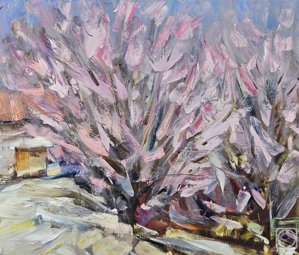 ������� ������ �� ������. �������� �����. �����