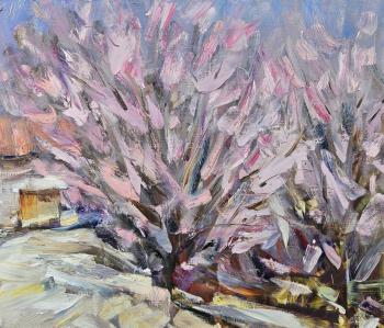 ������� ������