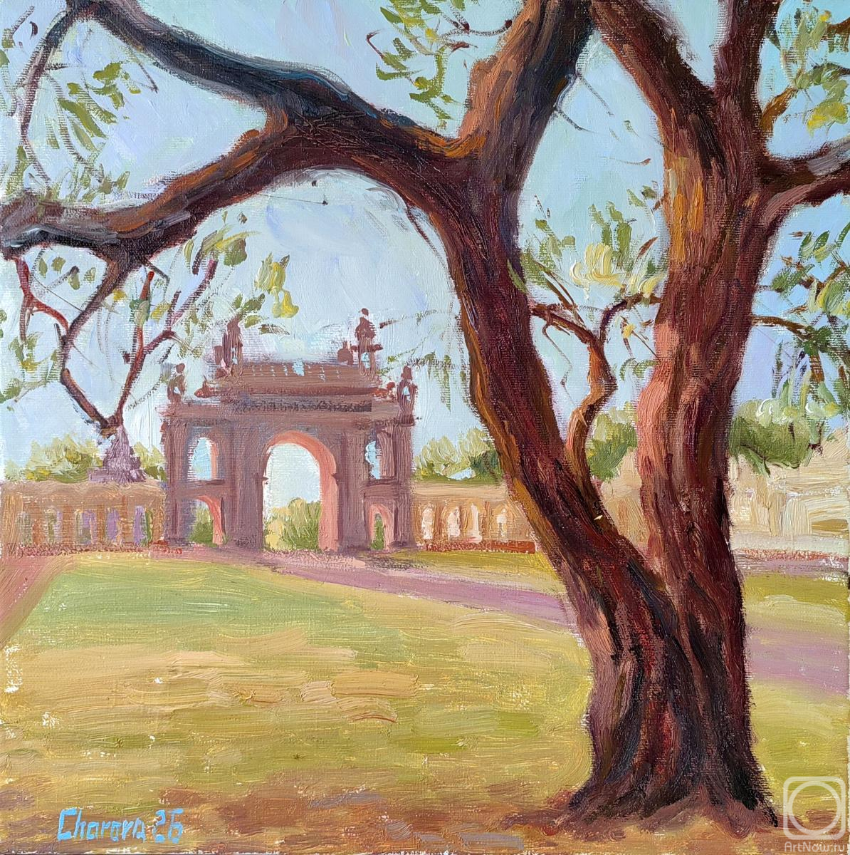 ������� ������ �� ������. ������ ������. ������� � �������