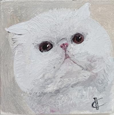 ������� �����