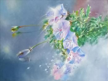 ������������. ��������� �����