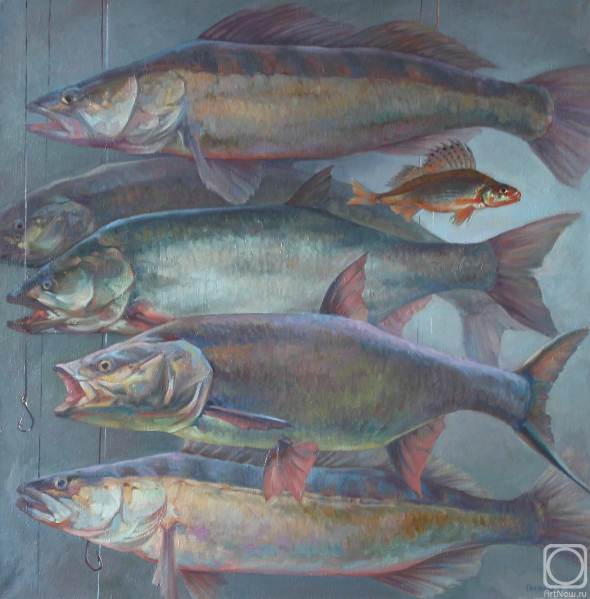 ������� ������ �� ������. �������� �����. ����� ������ �������