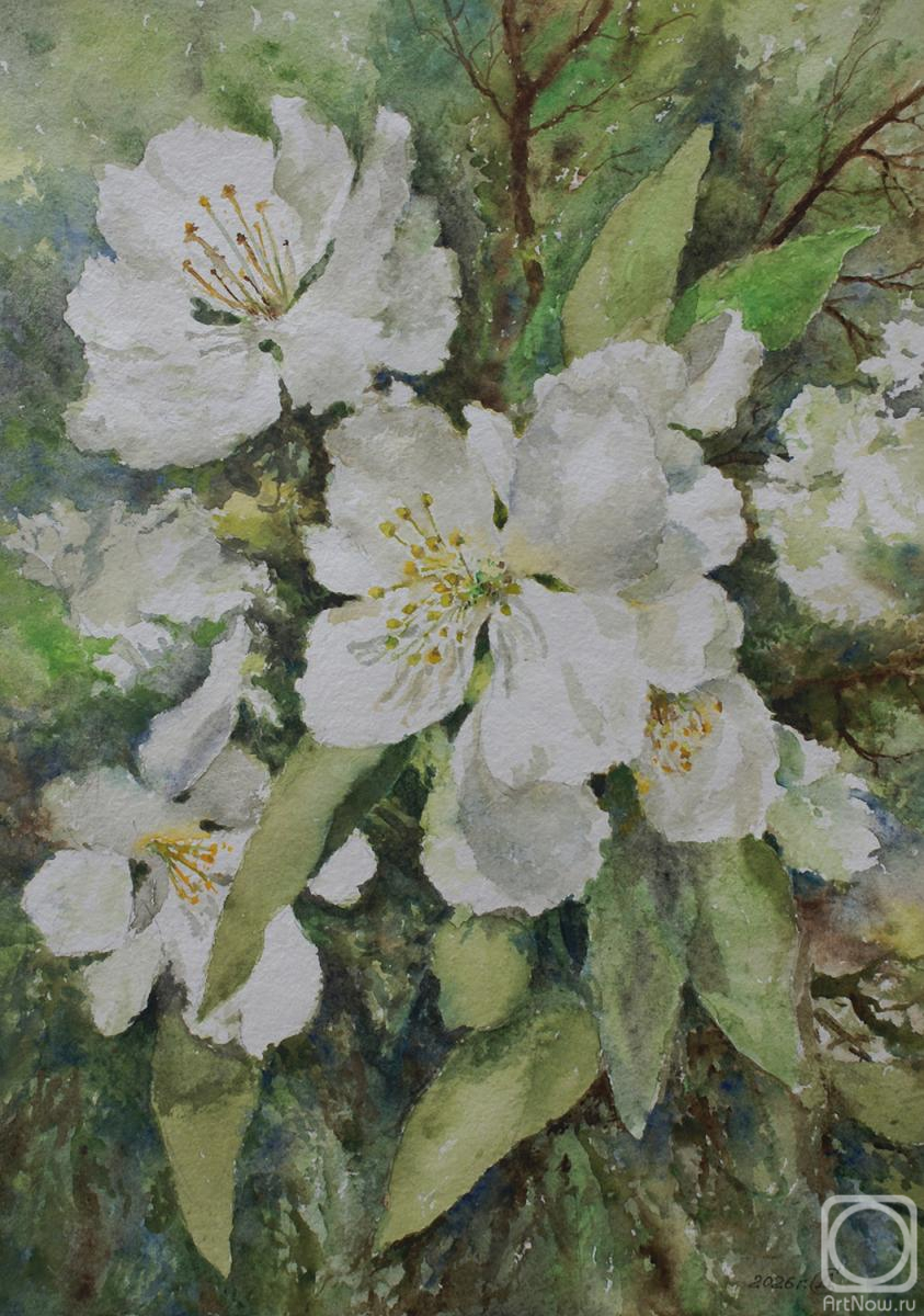 �������. �������� ������. ������ ��������